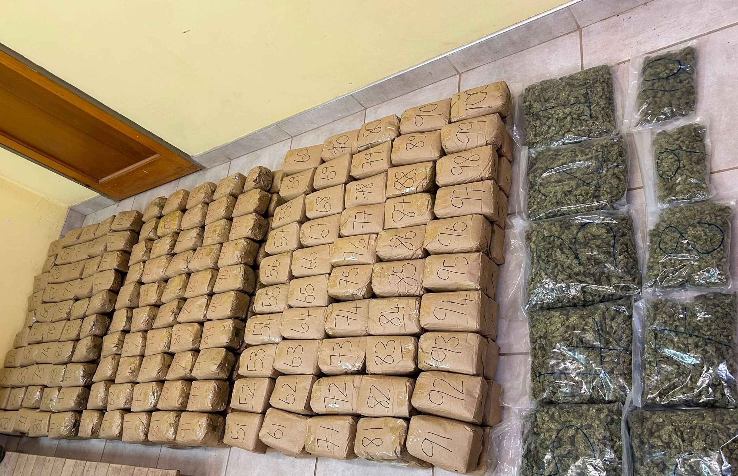 Cannabis Worth More Than N$1 Million Seized at Ariamsvlei Border Post