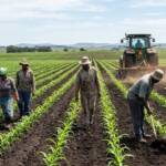 Farming in Namibia