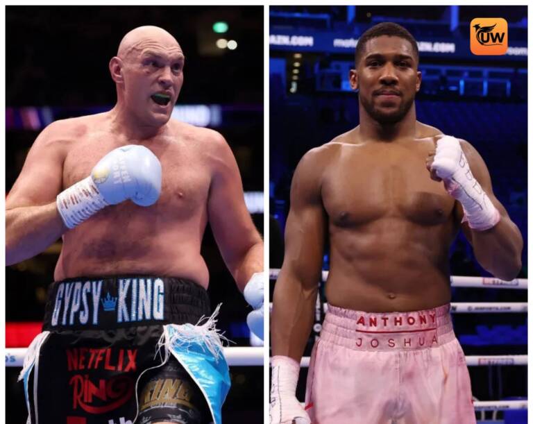 Fury vs Joshua showdown