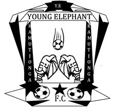 Young Elephants FC