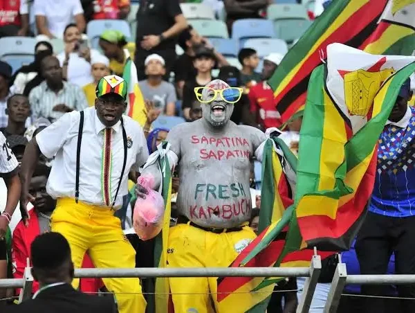 Zimbabwe Face Possible Home-Match Ban After Fan’s Death